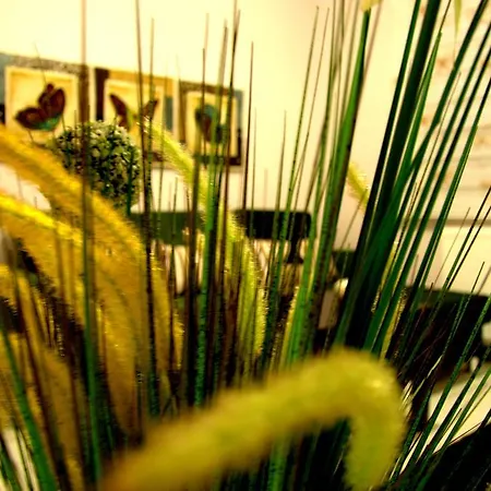 Apartment Konukevim